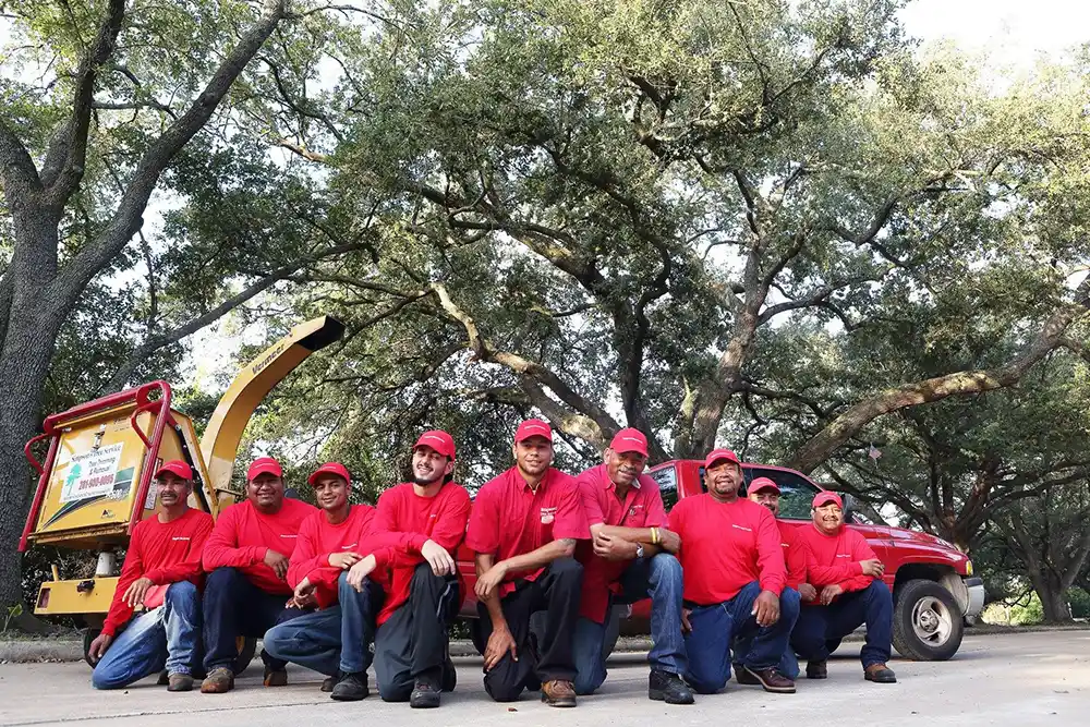 Family Picture for Tree Removal